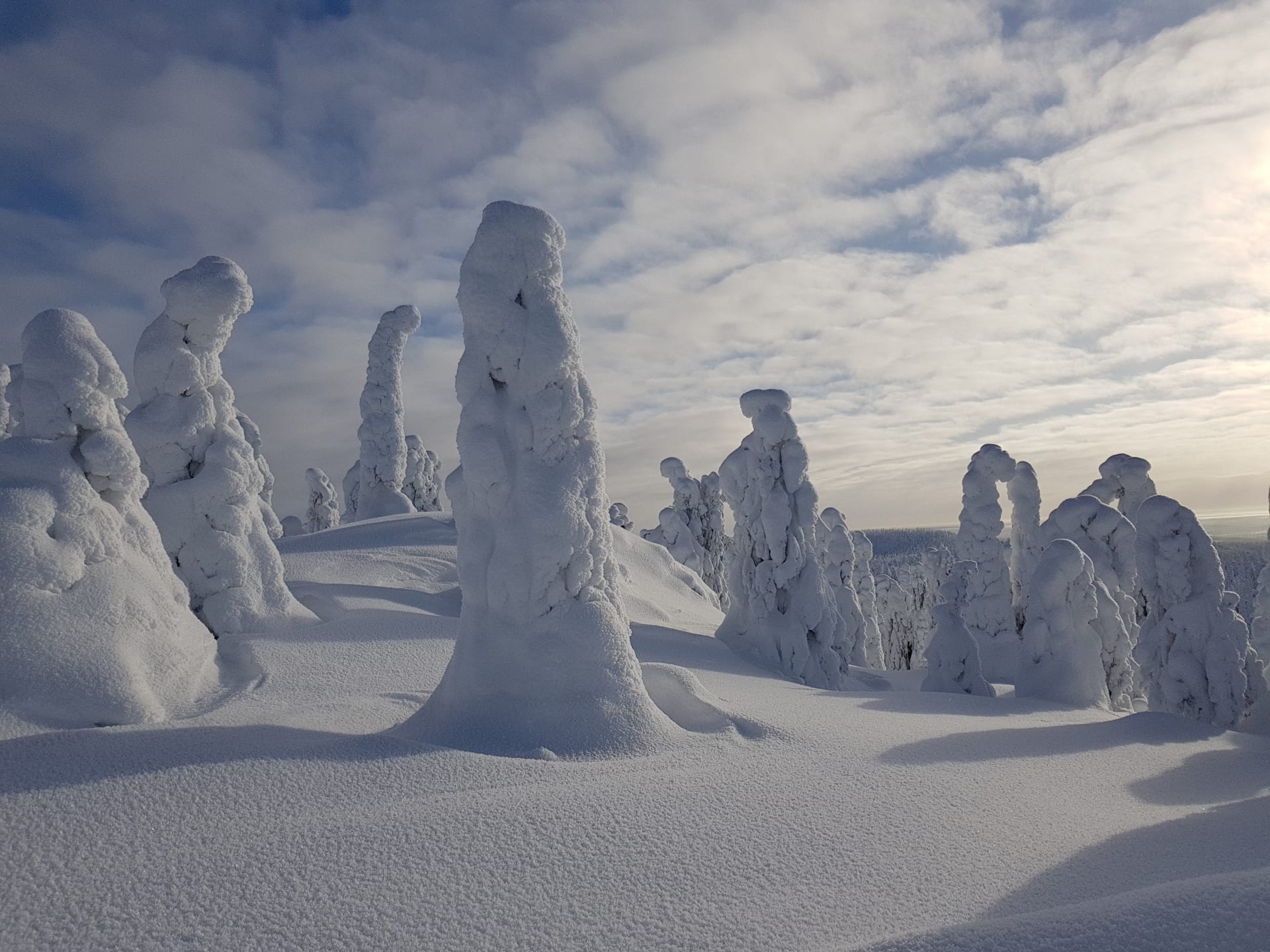 Iivaaran luonnonsuojelualue/Iivaara nature reserve snowshoeing