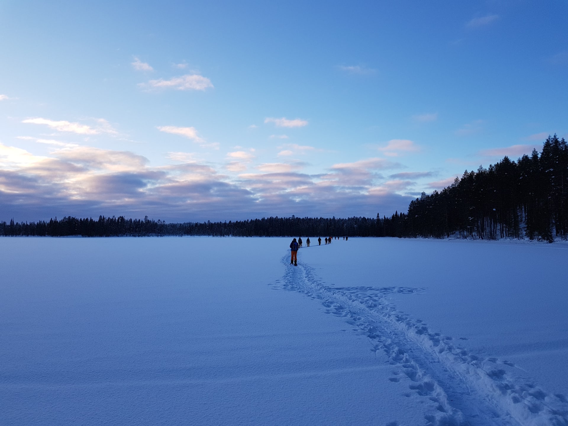 Iivaaran luonnonsuojelualue/Iivaara nature reserve snowshoeing