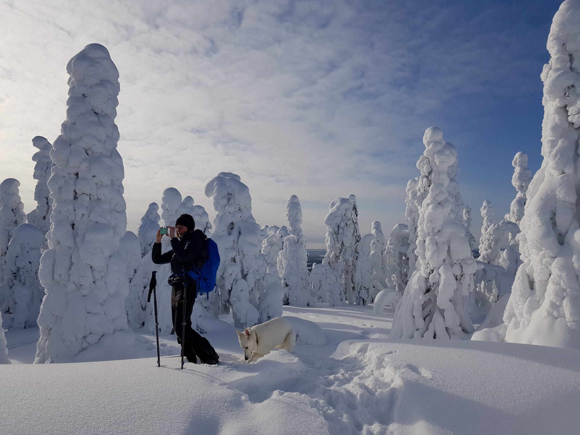 Iivaaran luonnonsuojelualue/Iivaara nature reserve snowshoeing