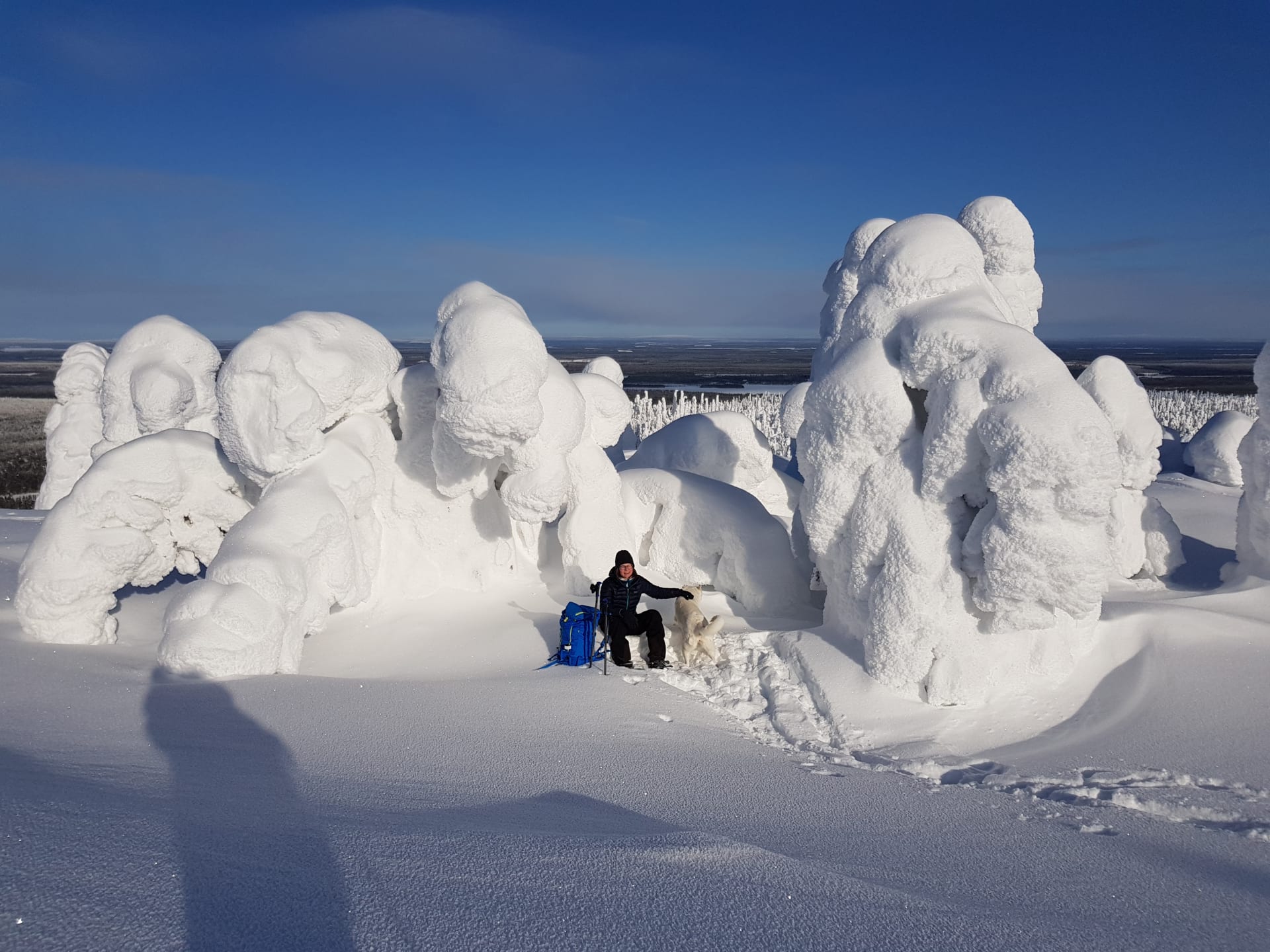 Iivaaran luonnonsuojelualue/Iivaara nature reserve snowshoeing