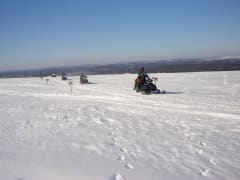 Moottorikelkkasafari 1 tunti