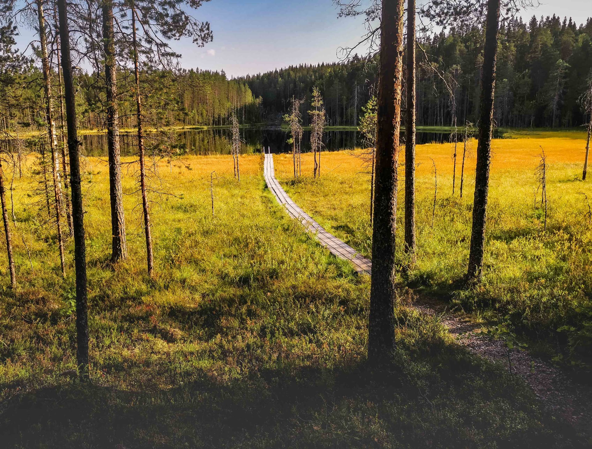 Welcome to National Park Koli, Hiidenportti and Tiilikkajä