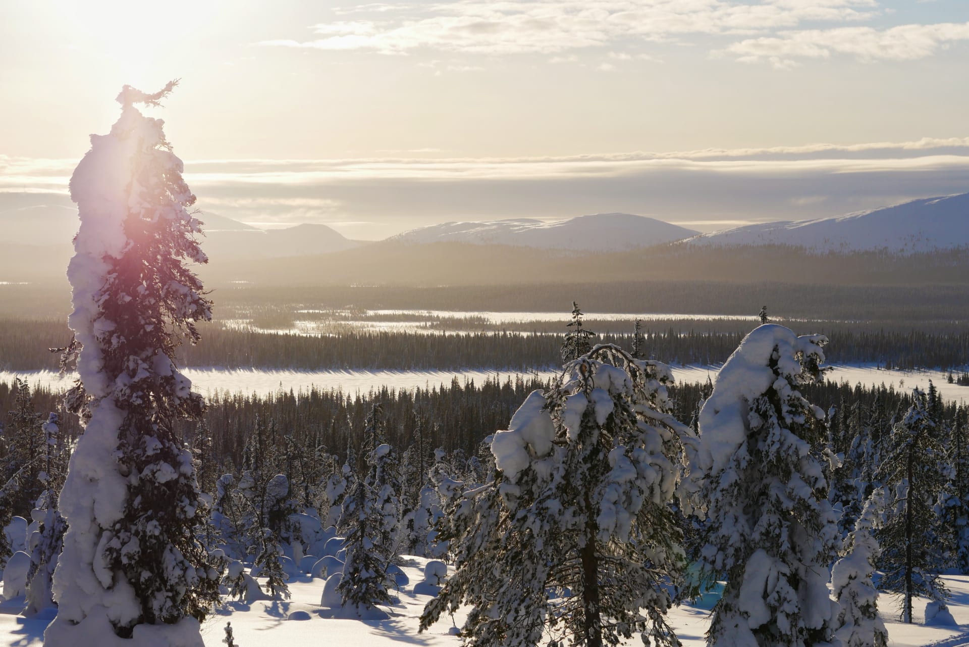 Lapland landscape - seven fells