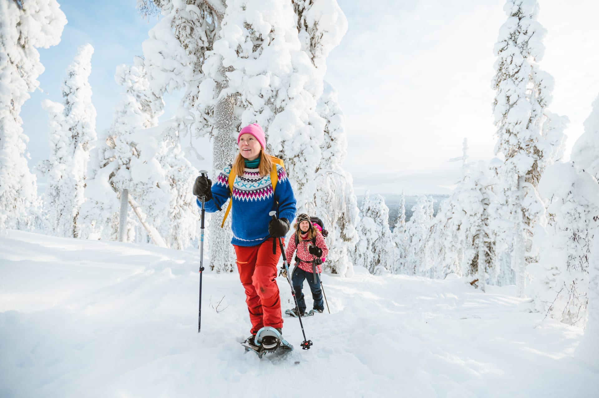 Snowshoe day with professional guides