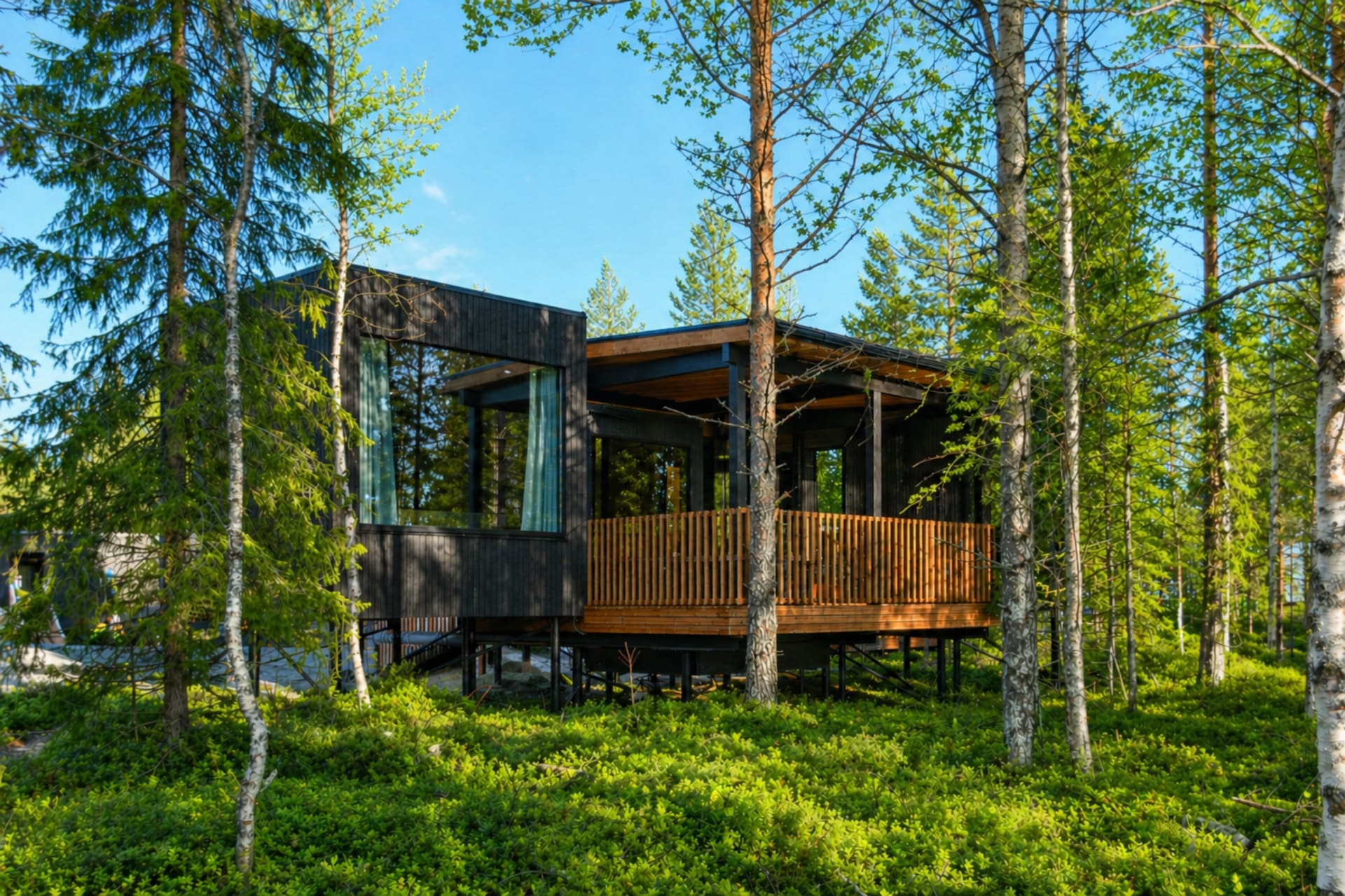 Terrace view in a peaceful forest landscape.