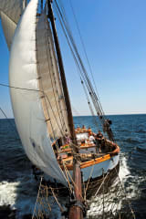 Meriseikkailu Jahti Eugenialla Örön linnakesaarelle - Yleisöpurjehdus