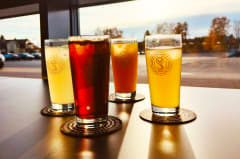 Selection of four varied and colorful local beers on tap at Varikko, catching the sun
