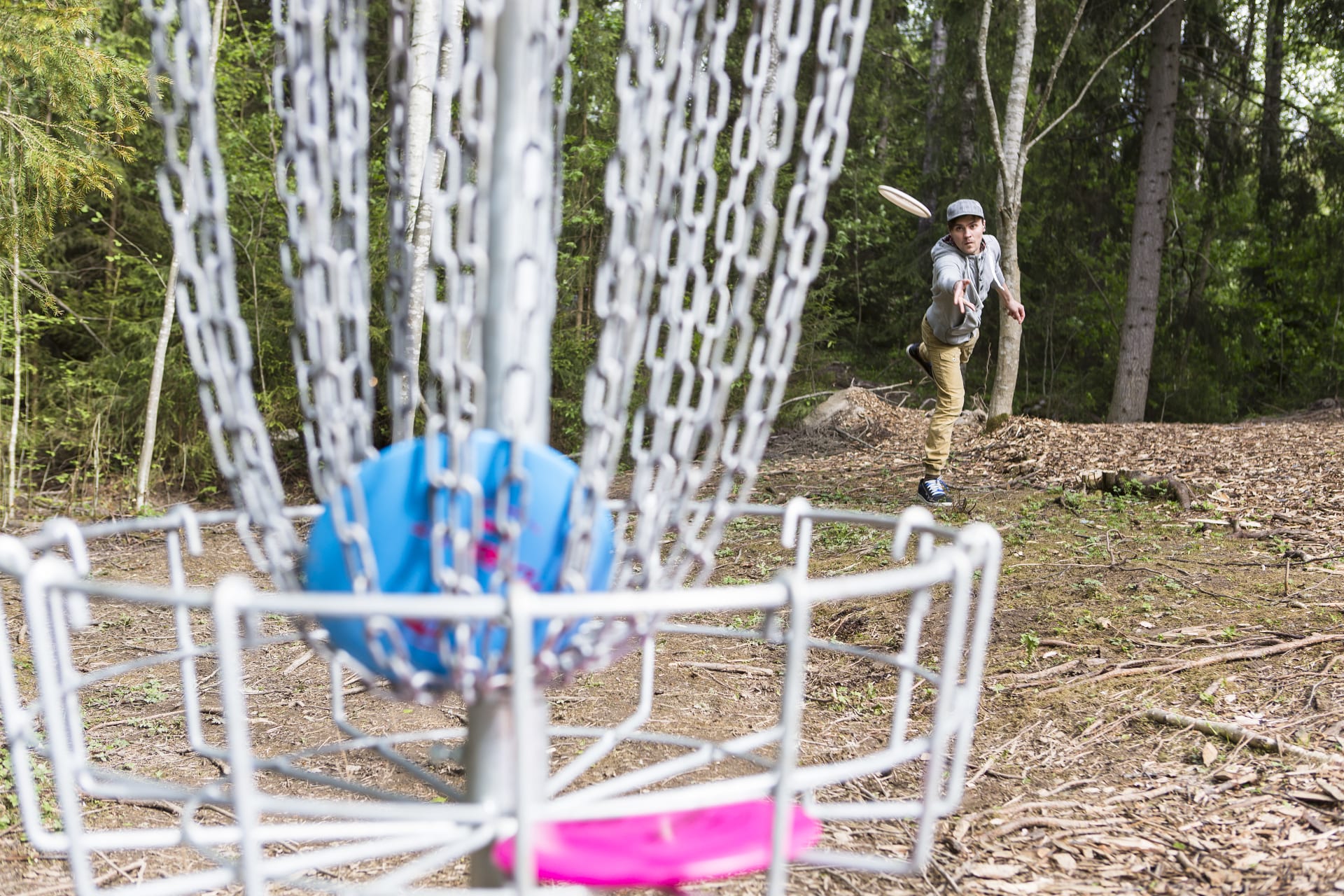 Kuva frisbeegolfkiekosta maalissa