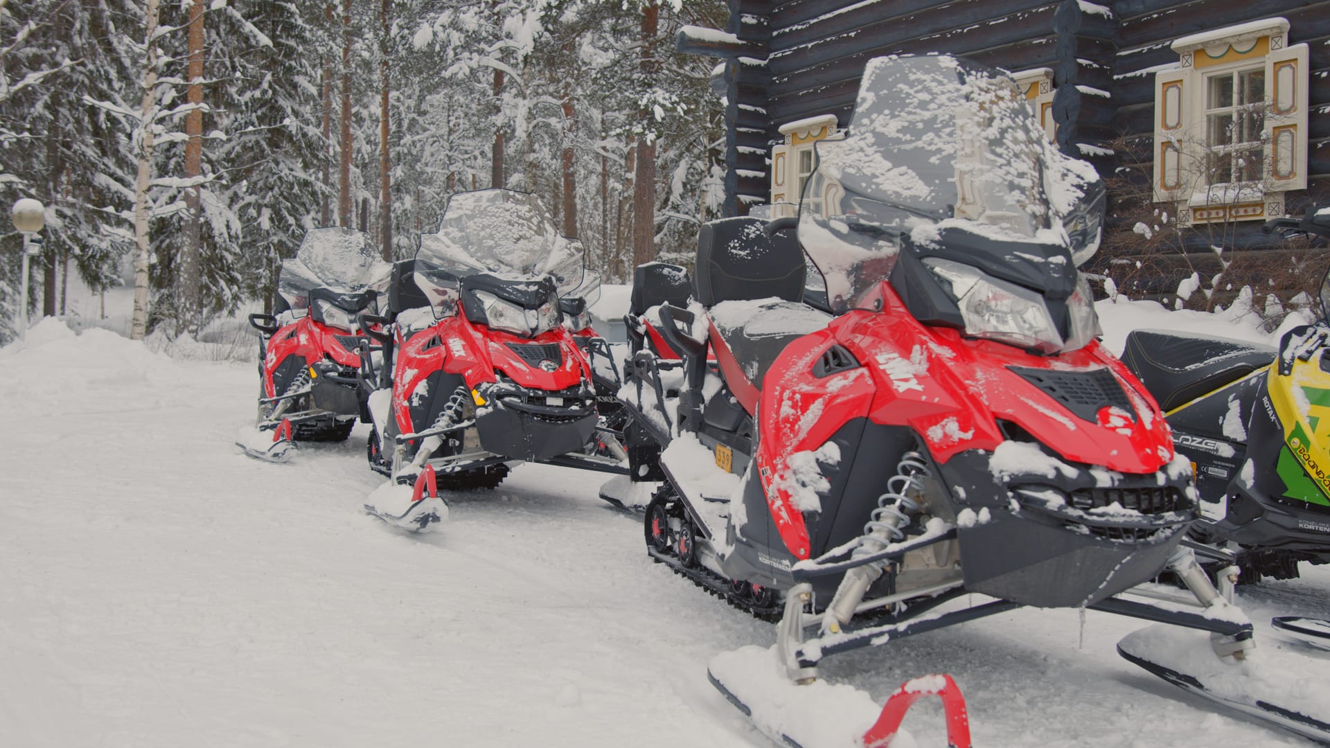 Snowmobile Safari at Bomba