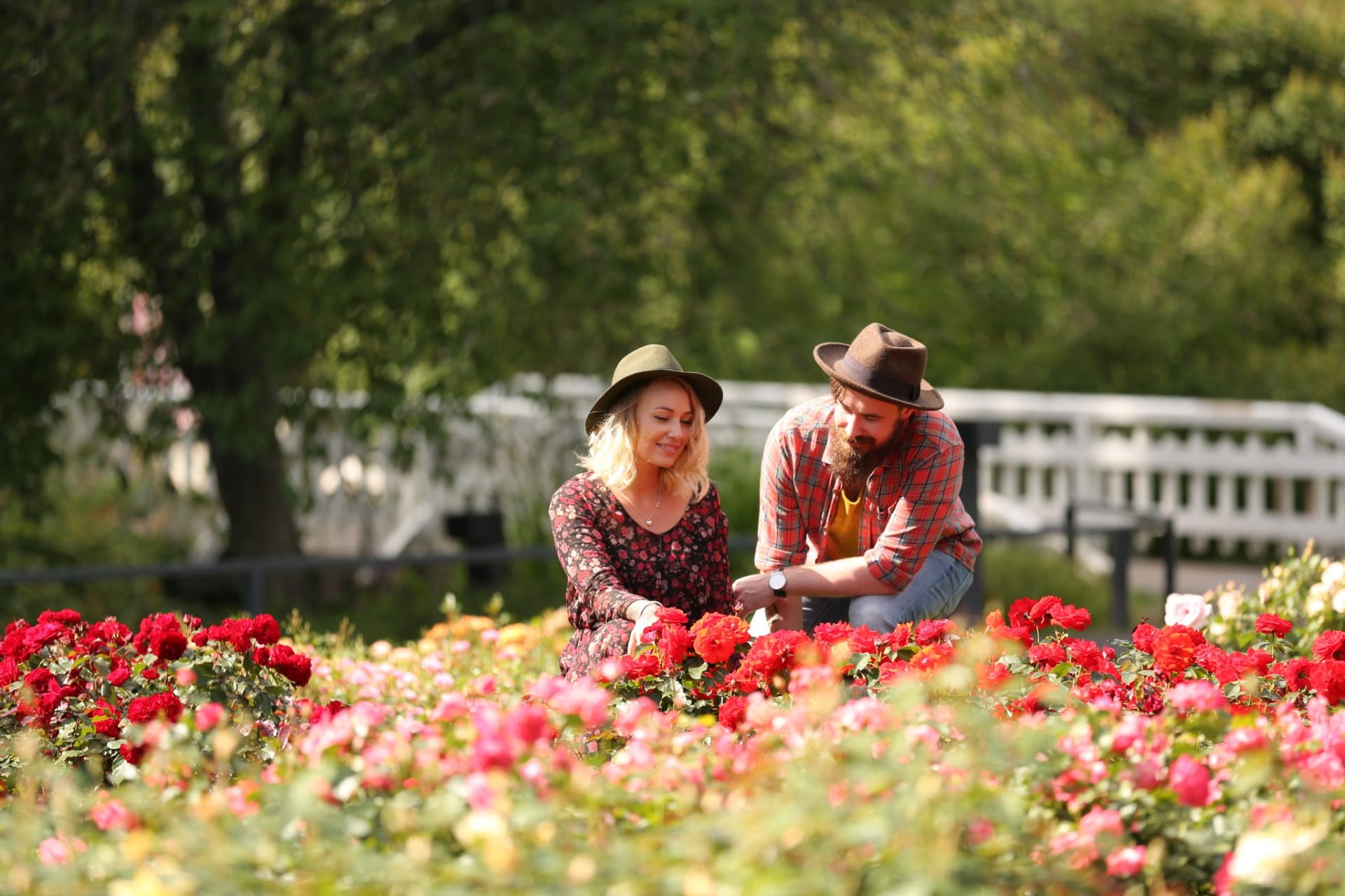 Walking in a rose garden in Hupisaaret park