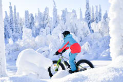 Sähköfatbike vuokraus