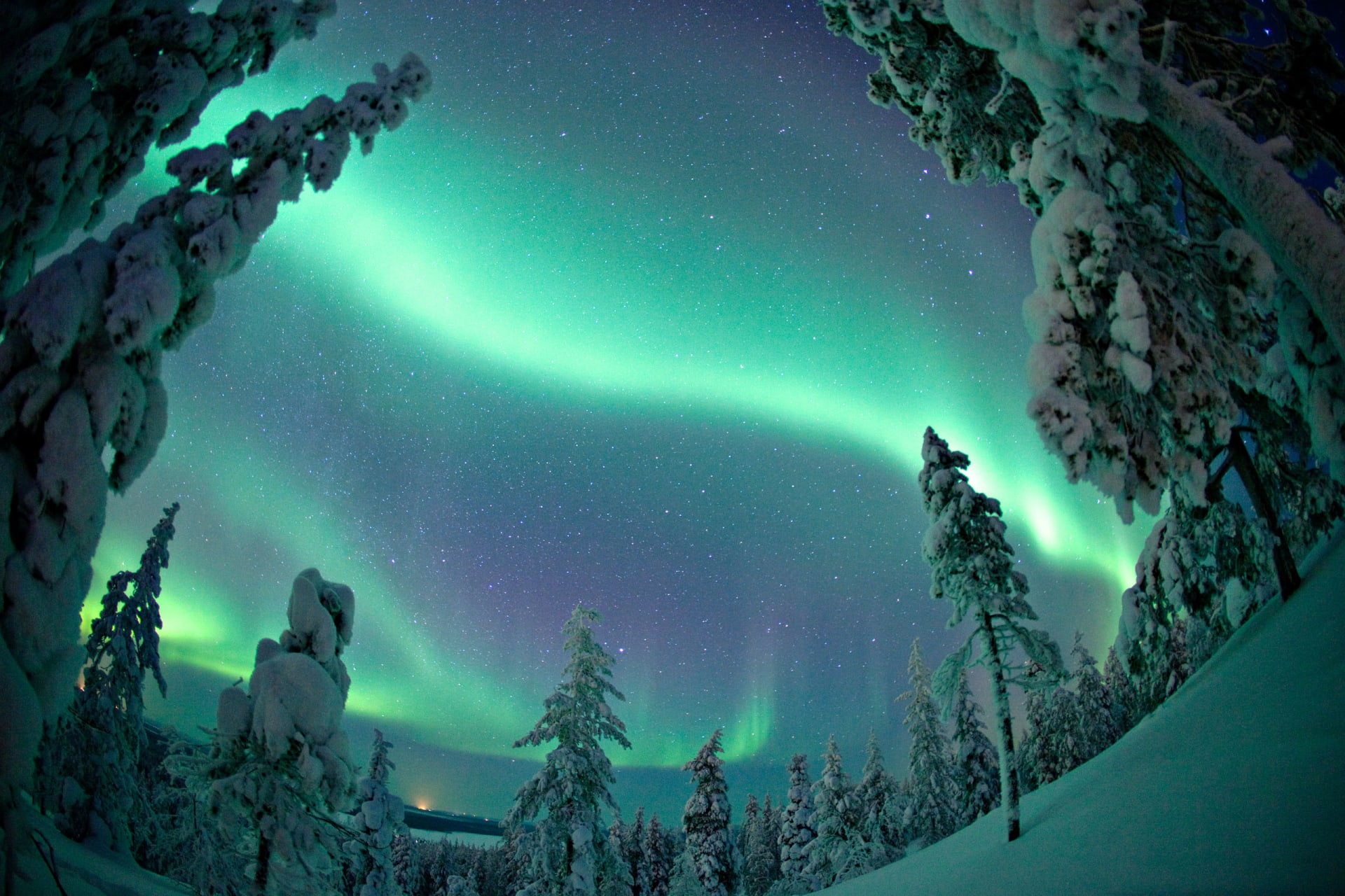 Auroras