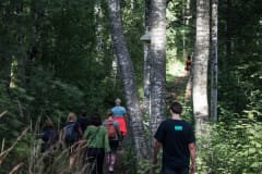 people walking on a Sulosaari island nature trail in summer