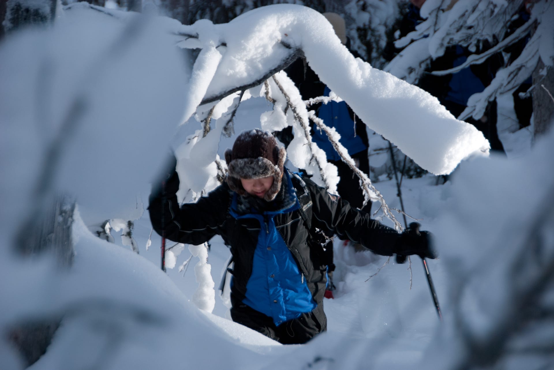 Guided Snowshoe Hike on Pieni Karhunkierros Trail | Visit Finland