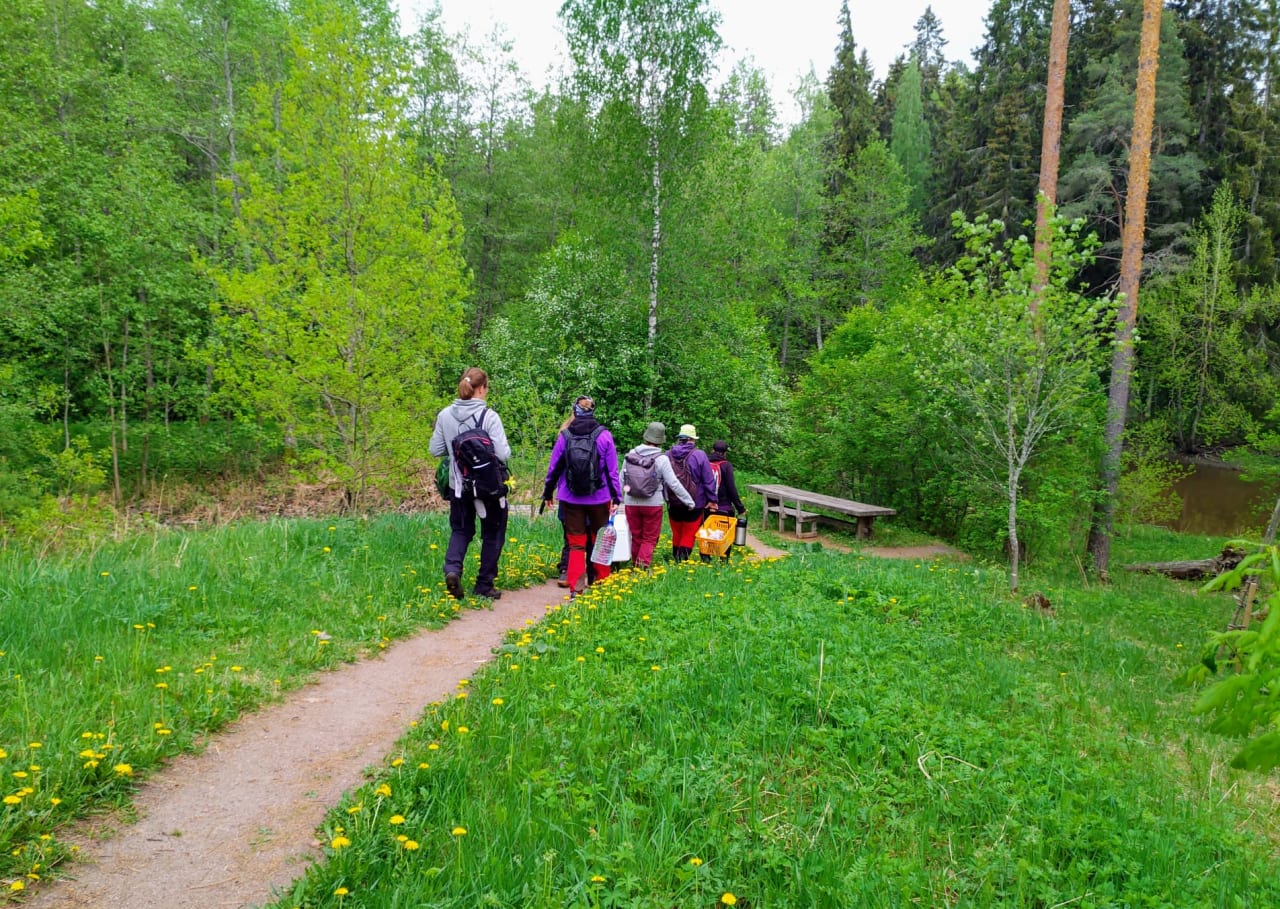 group walks to the campfire site
