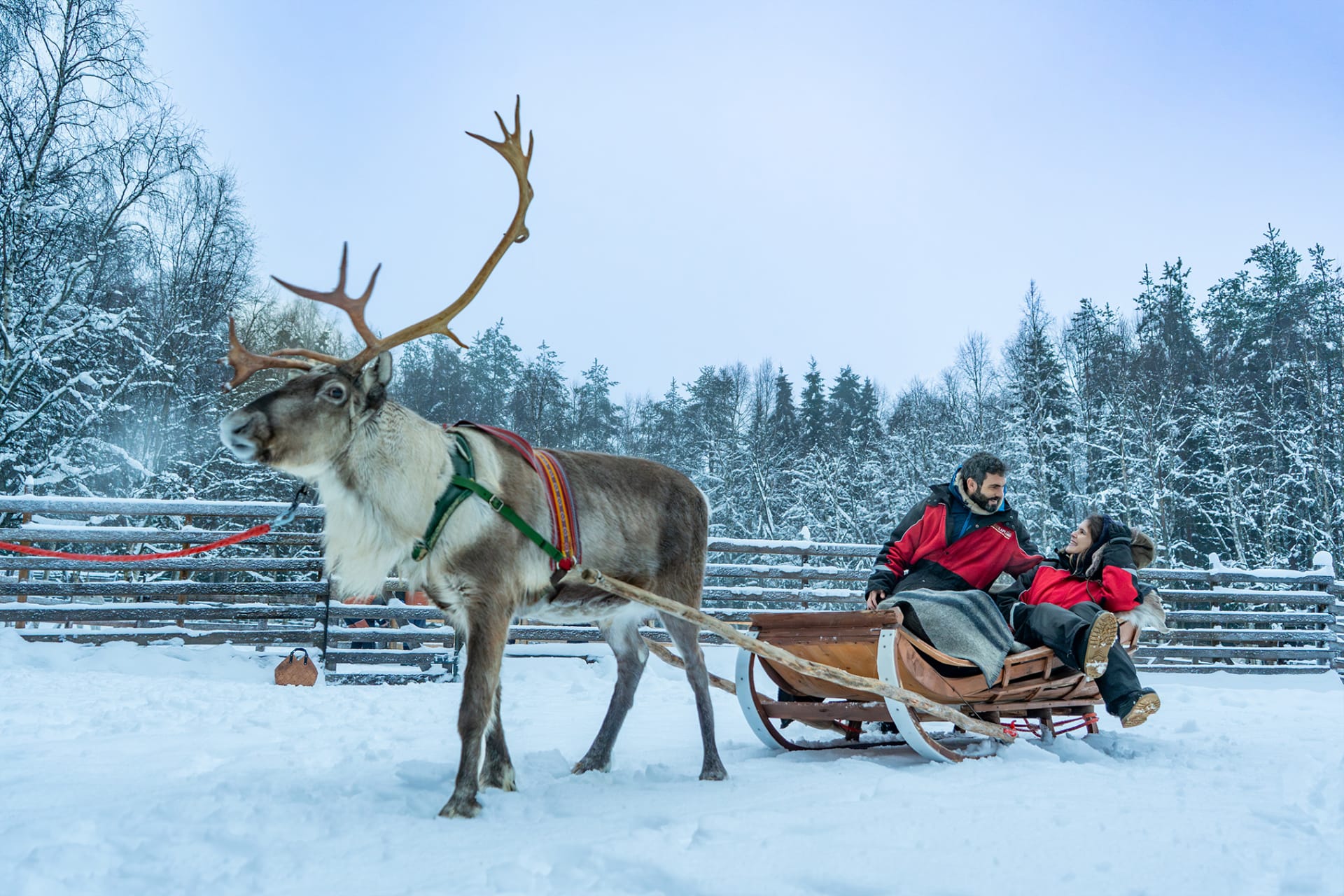At Arctic Panorama Resort, our activities are offered in collaboration with our trusted partner, Access Lapland. 