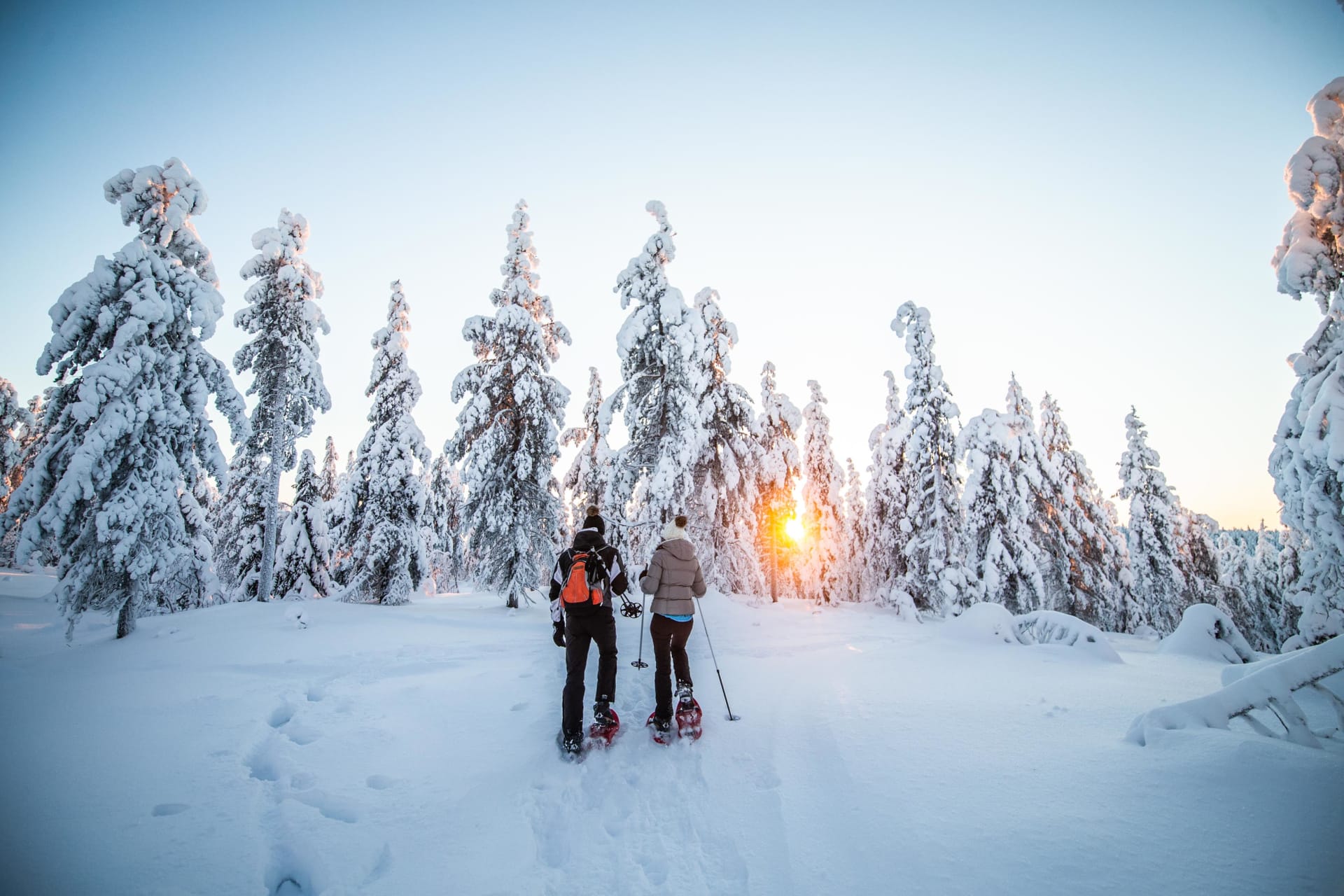 Snowshoeing tour in wilderness Rovaniemi