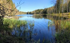 Suodenniemen Kaiturin retkeilyalue