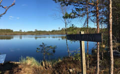 Suodenniemen Kaiturin retkeilyalue