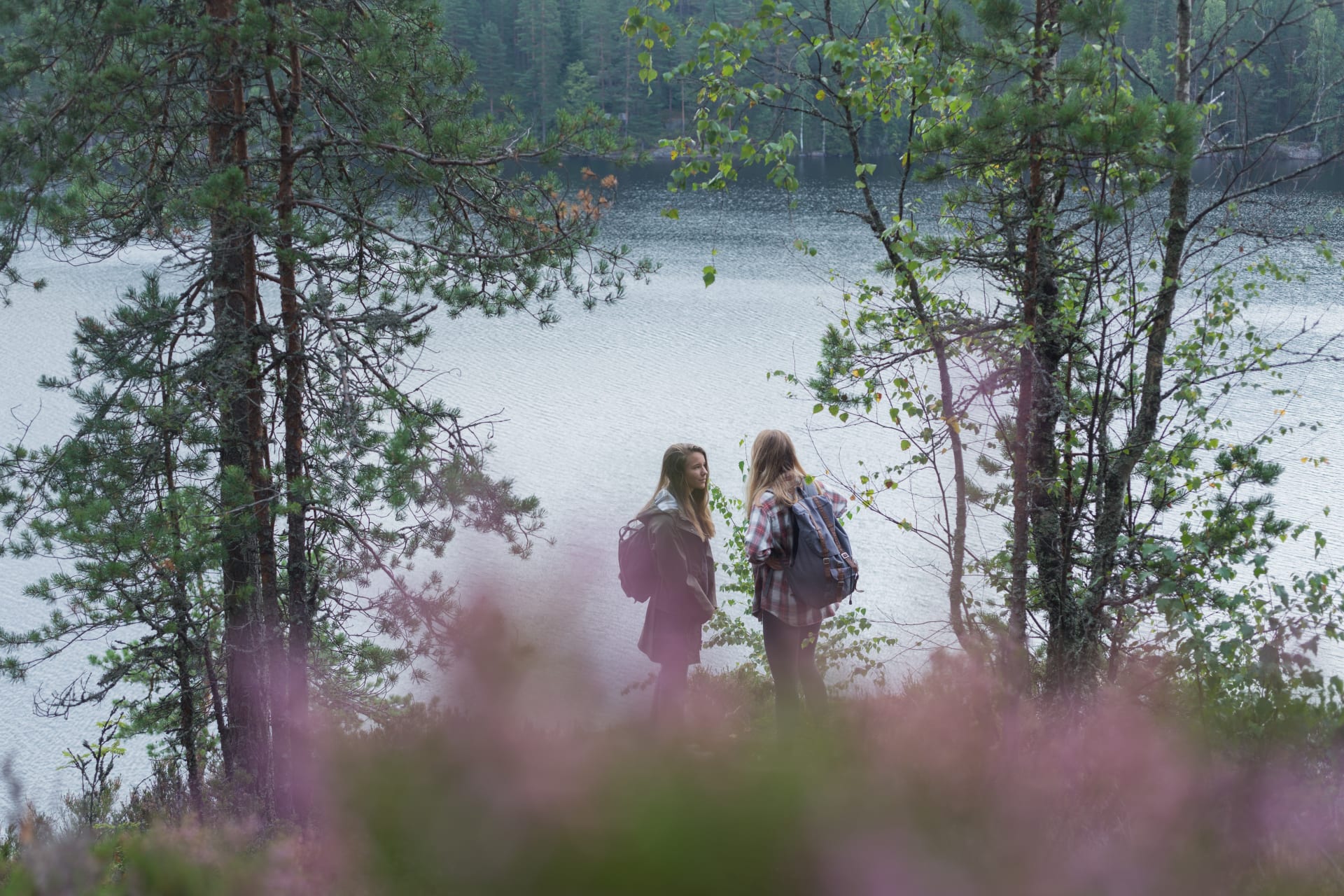 Lapakisto Kalliojärvi