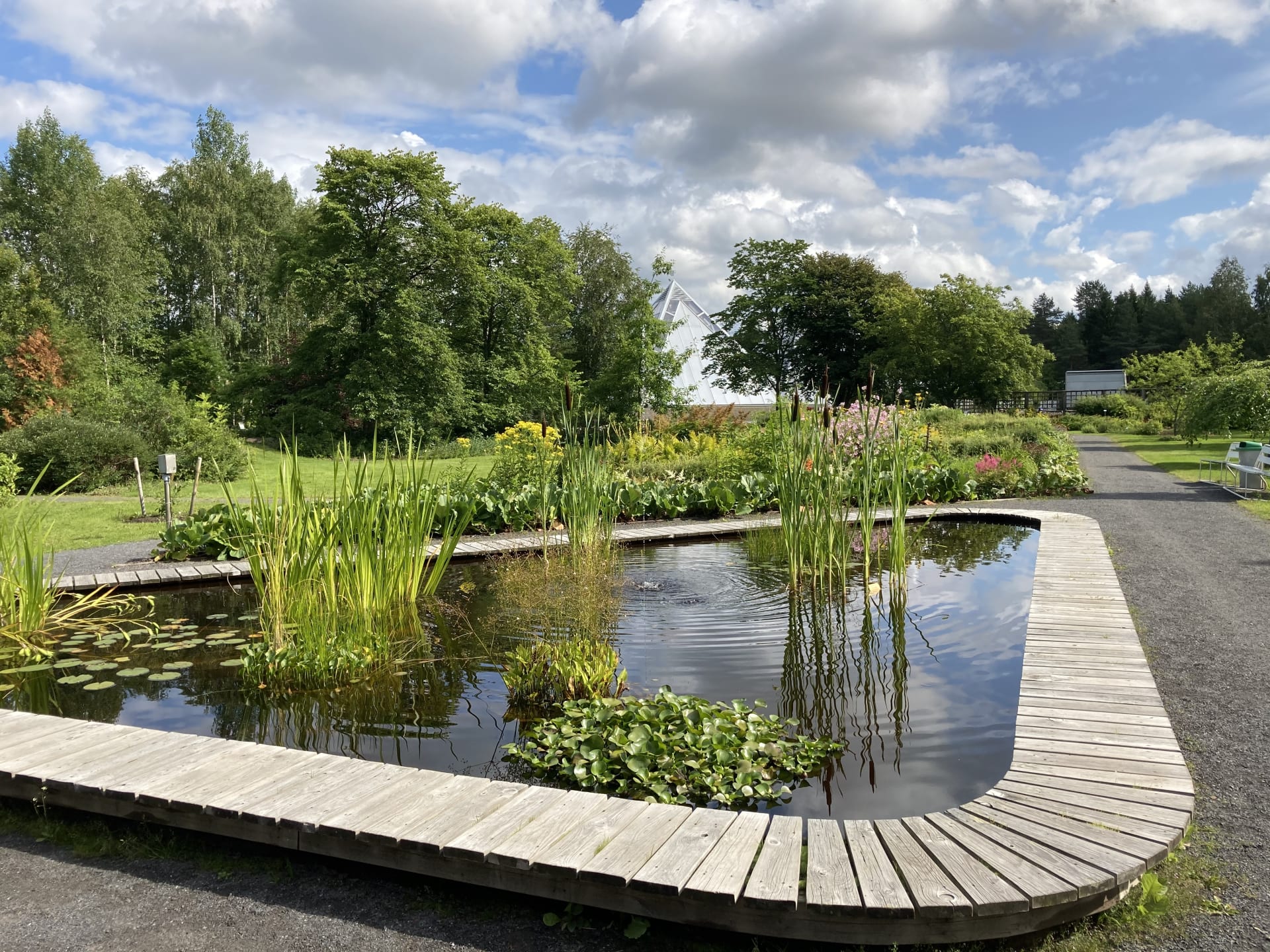 Pond in the garden.