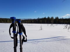 Lumikenkäretki vaarojen rinteillä