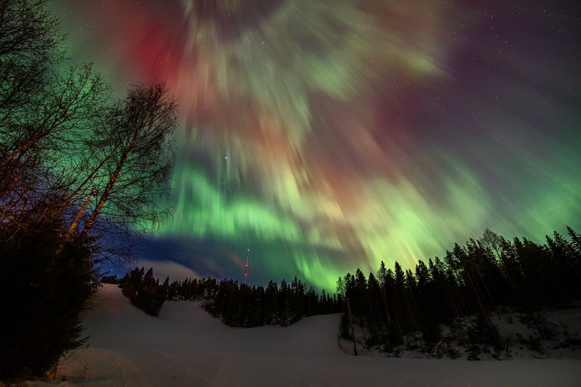 Northern lights in the sky