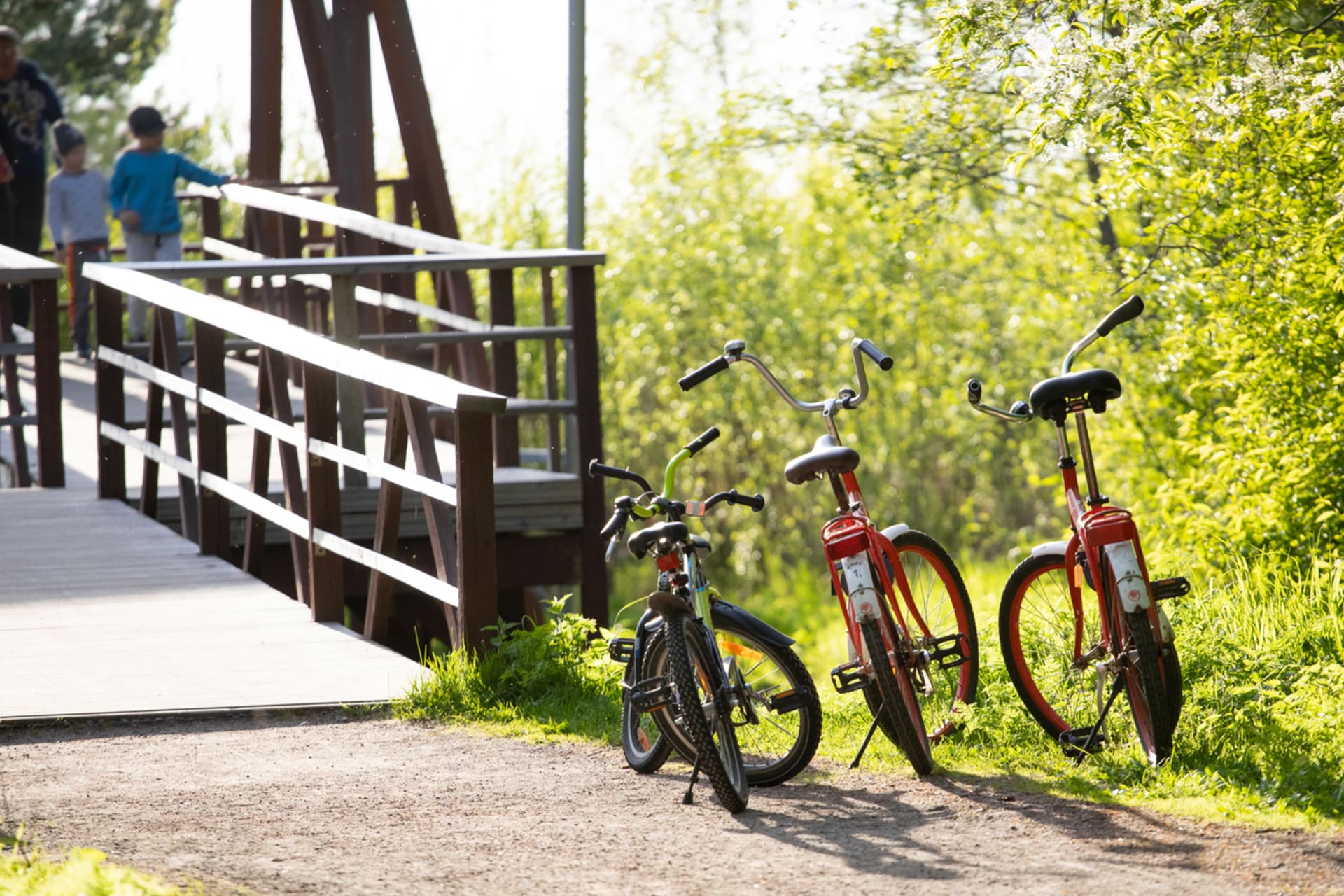 Hietasaari tracks are suitable for biking too