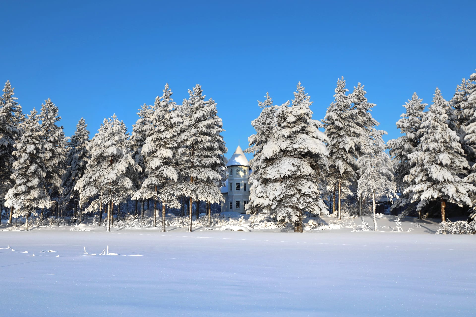 Villa Cone Beach sits among snowy pine trees, overlooking the private whiteness of Lake Korpijärvi.