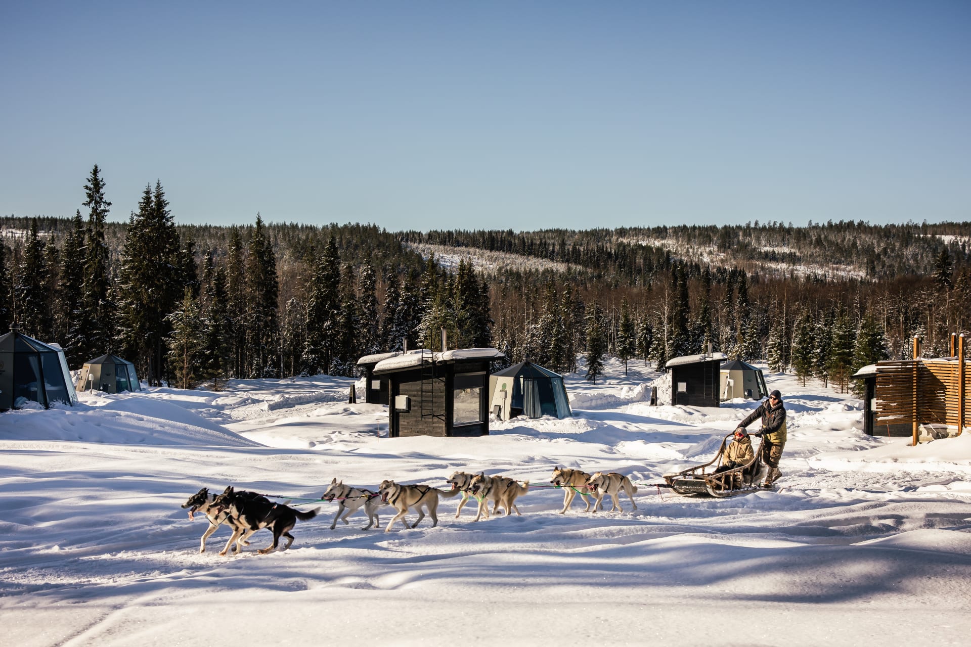 A couple enjoys a Husky Sleigh Ride through Nova Galaxy Village