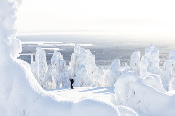 Lumiset puut laskettelurinteen reunalla