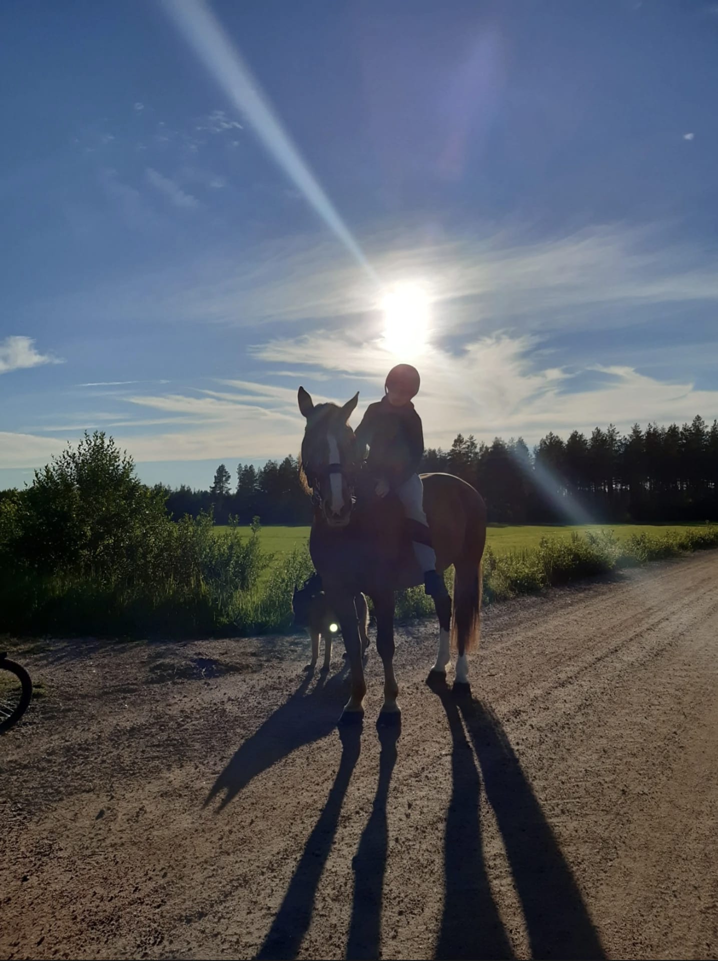Horseback riding with Finnhorses