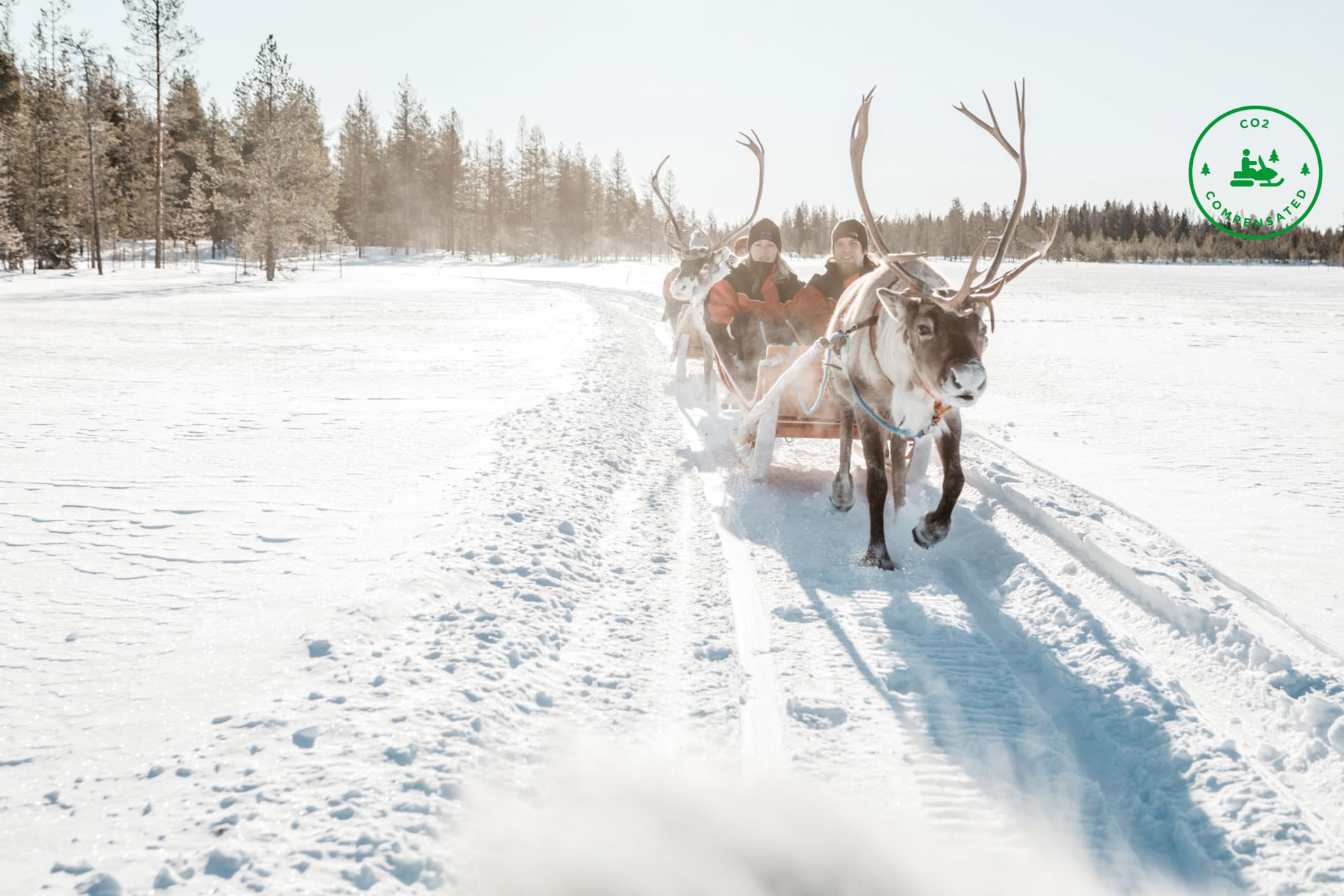 SNOWMOBILE SAFARI TO REINDEER FARM, Saariselkä