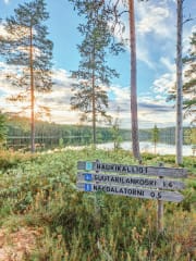 Haukikallion nuotiopaikan opasteet Riuttaskorven virkistysmetsässä Ylöjärvellä