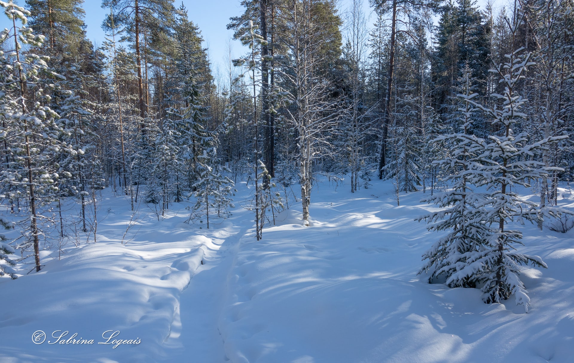Sliding snowshoes, Taiga Spirit, Lentiira