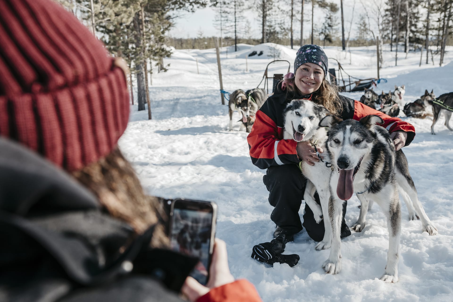 eSled Safari to a Local Husky Farm - meeting the huskies