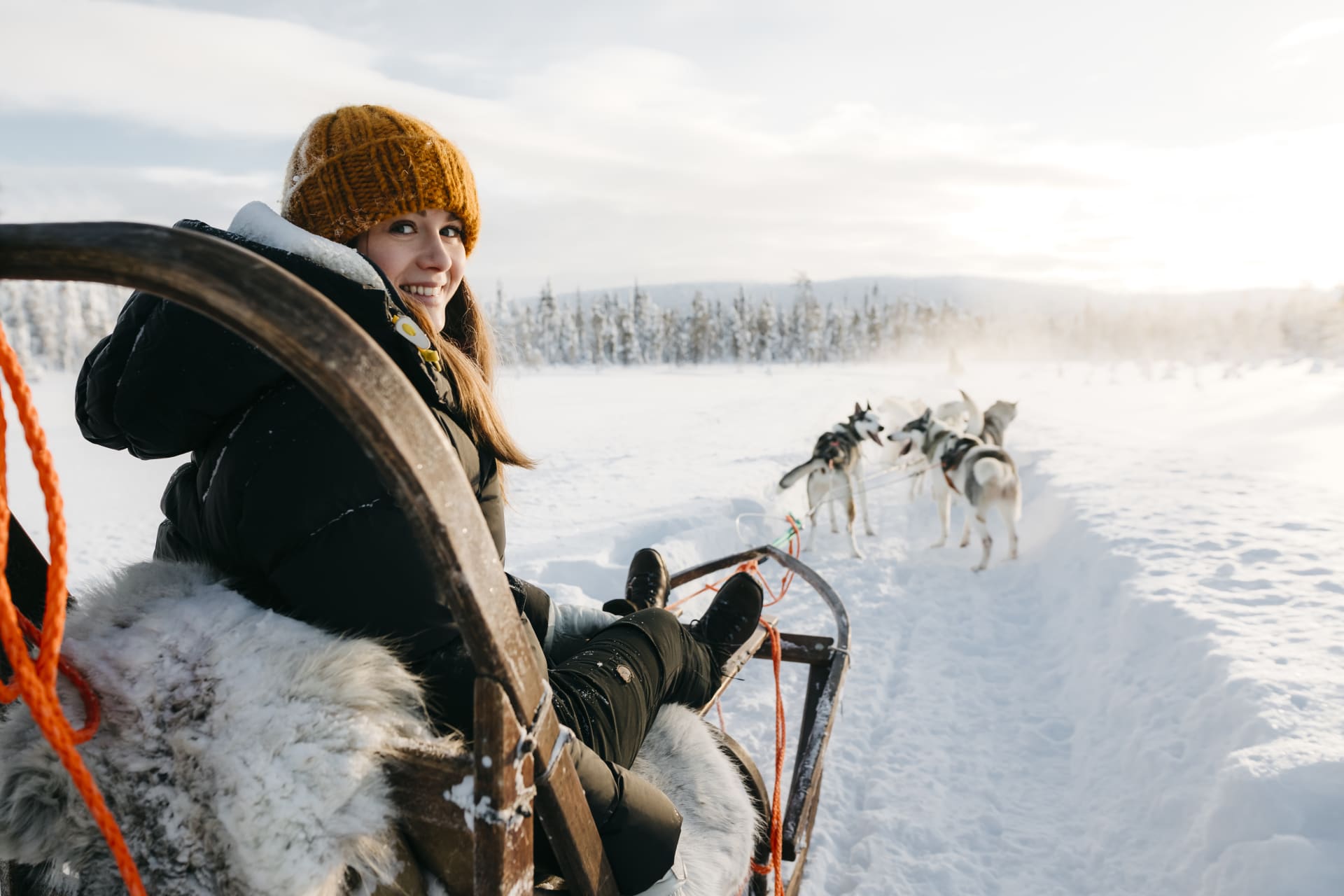 eSled Safari to a Local Husky Farm - Husky sleigh ride