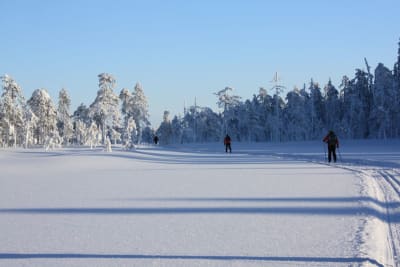 Skiers in the beautiful winter scenery