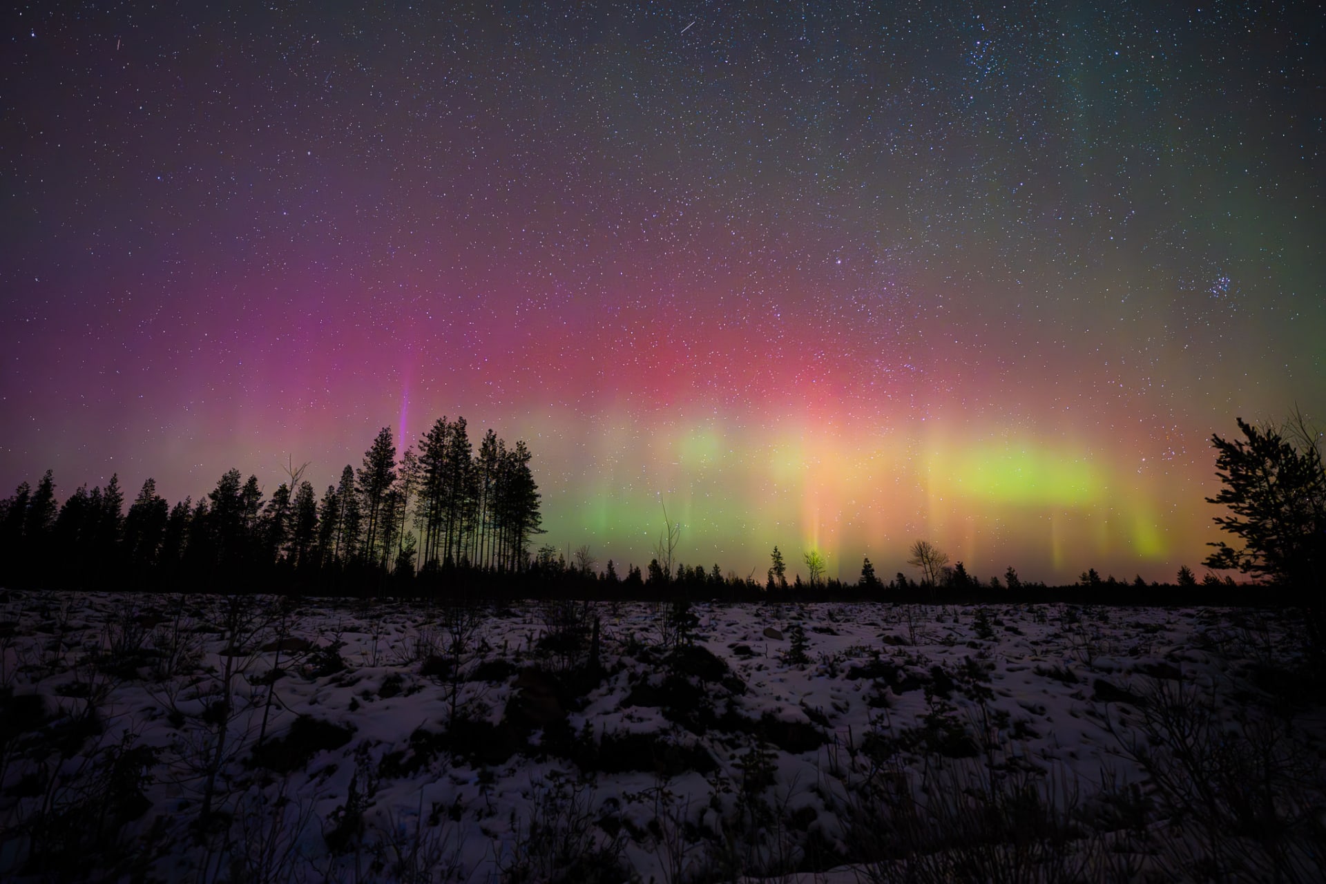 aurora landscape