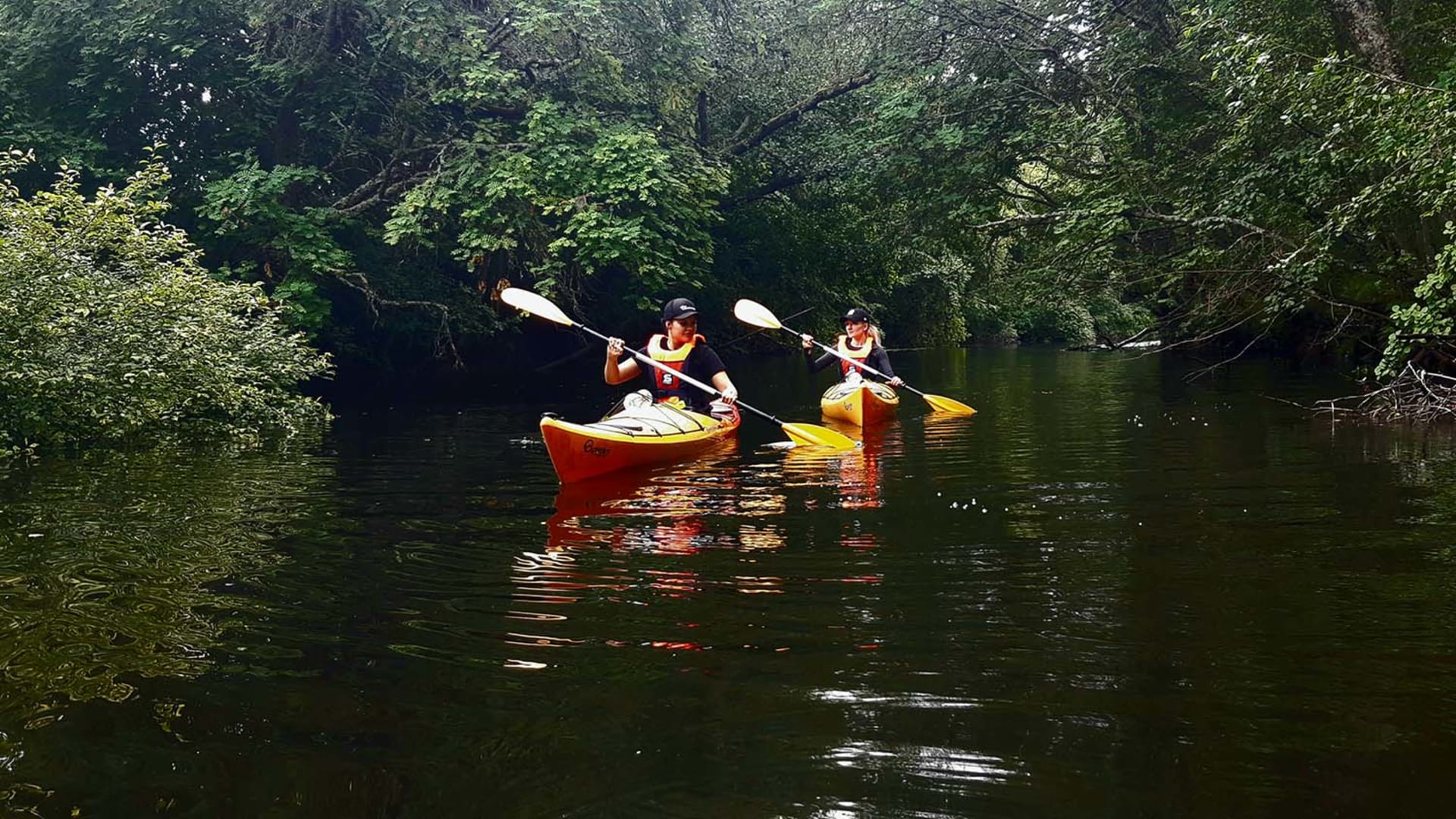 Two people in yellow kayaks paddling on a river. 