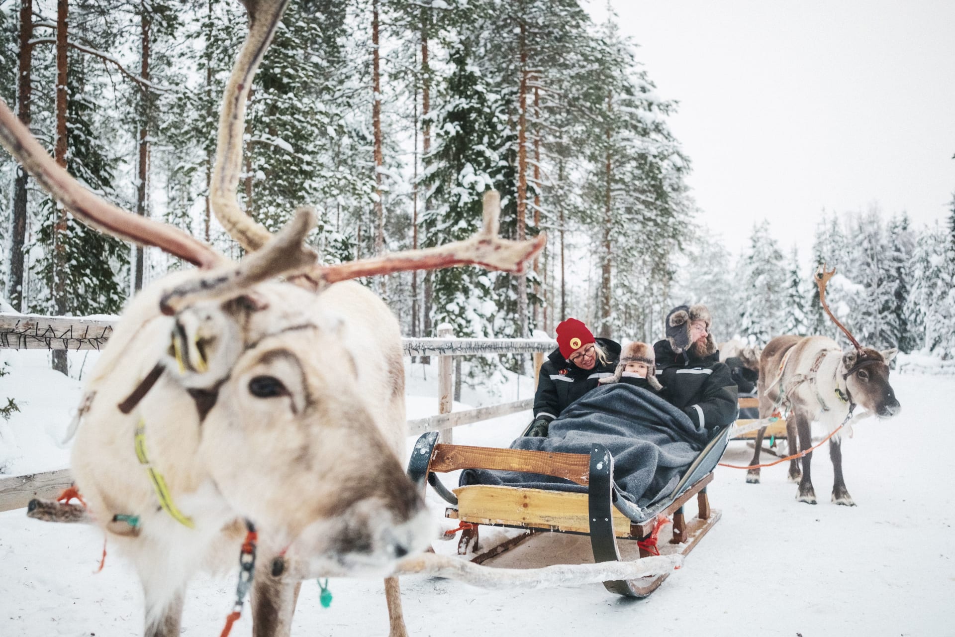 Family Fun Day | Visit Finland