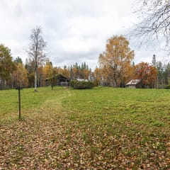 Syksyisen, niitetyn niityn poikki kulkeva polku johtaa harmaantuneeseen, vanhaan ja autioon pihapiirin. Kuva: Merja Paakkanen