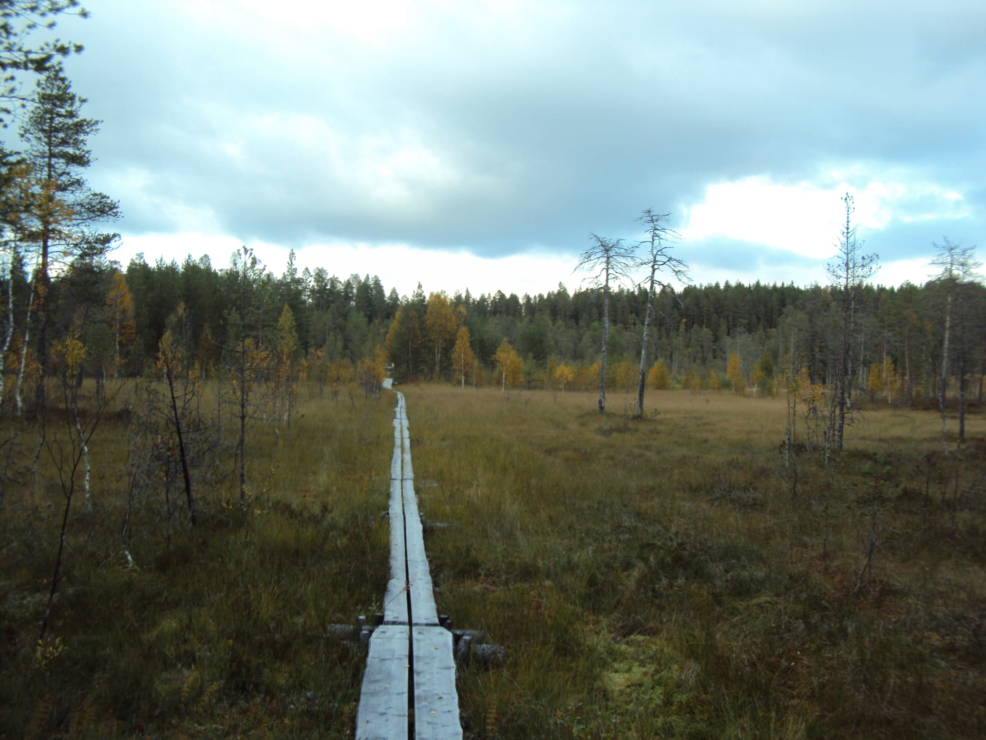 https://aksytammat.fi/en/p/38/hiking-tours-in-two-national-parks-and-nature-reserve-area