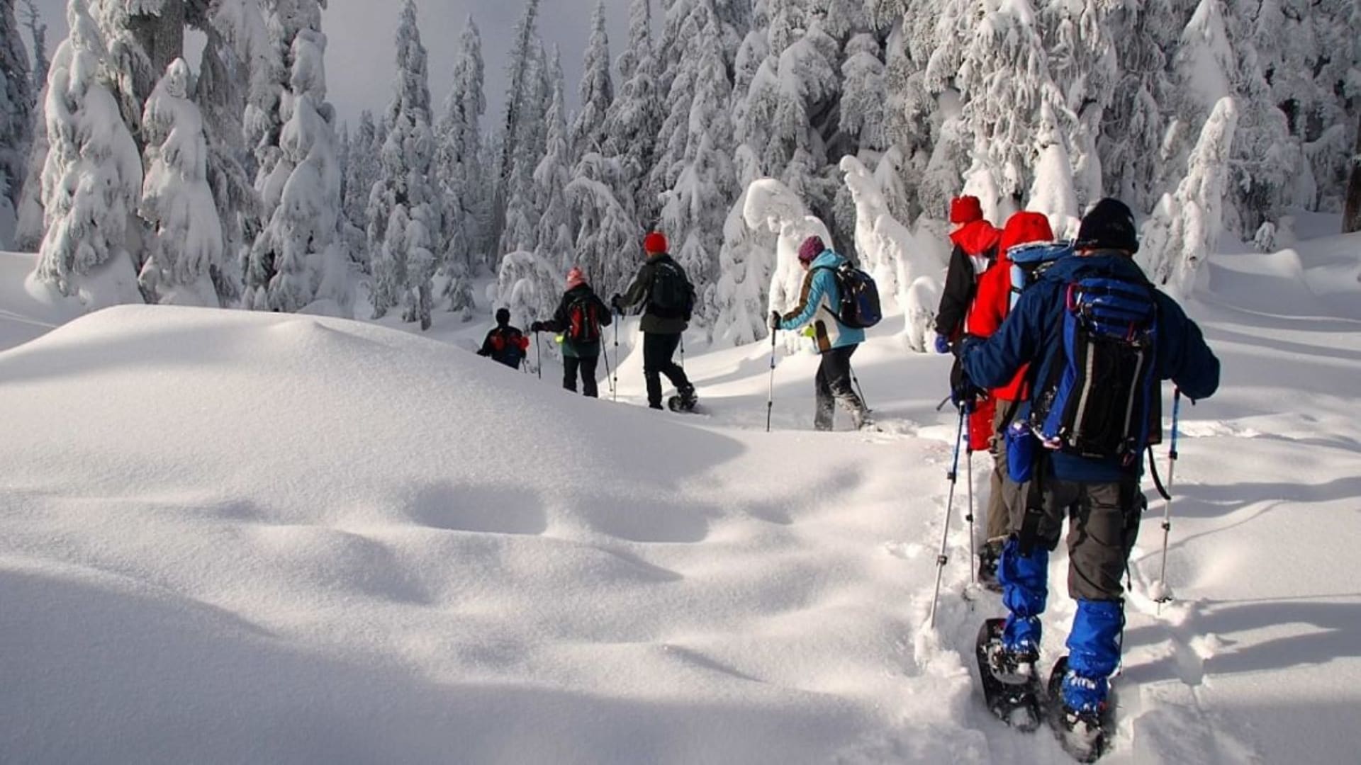 Snowshoeing