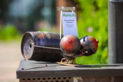 ITE ja Ötökkä 2023