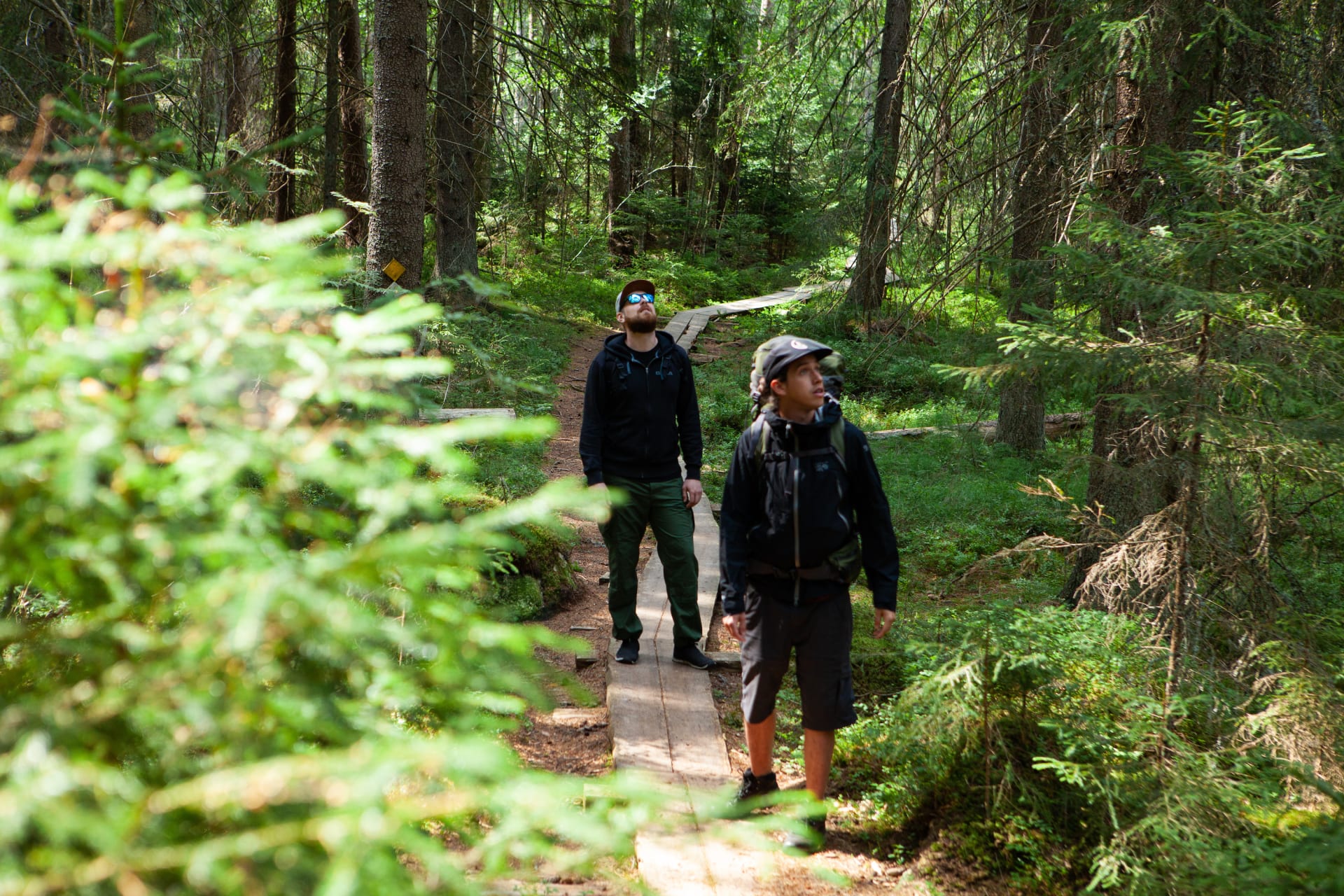 Magical Taiga Forest Hike | Visit Finland