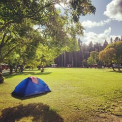 Seinäjoen leirintäalueen telttapaikka nurmialueella