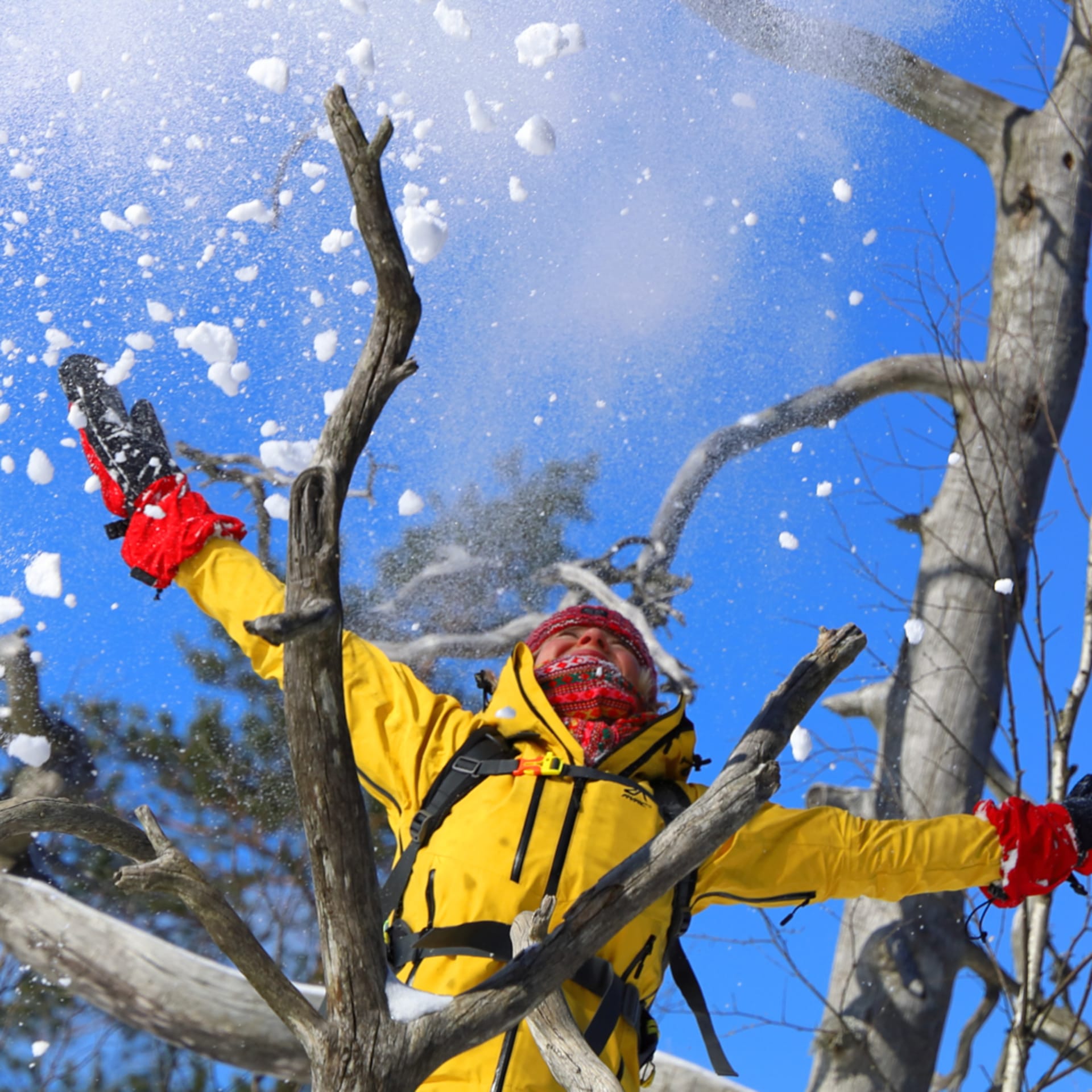 Winter activities.