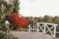 Sapokka Water Garden in autumn colours.