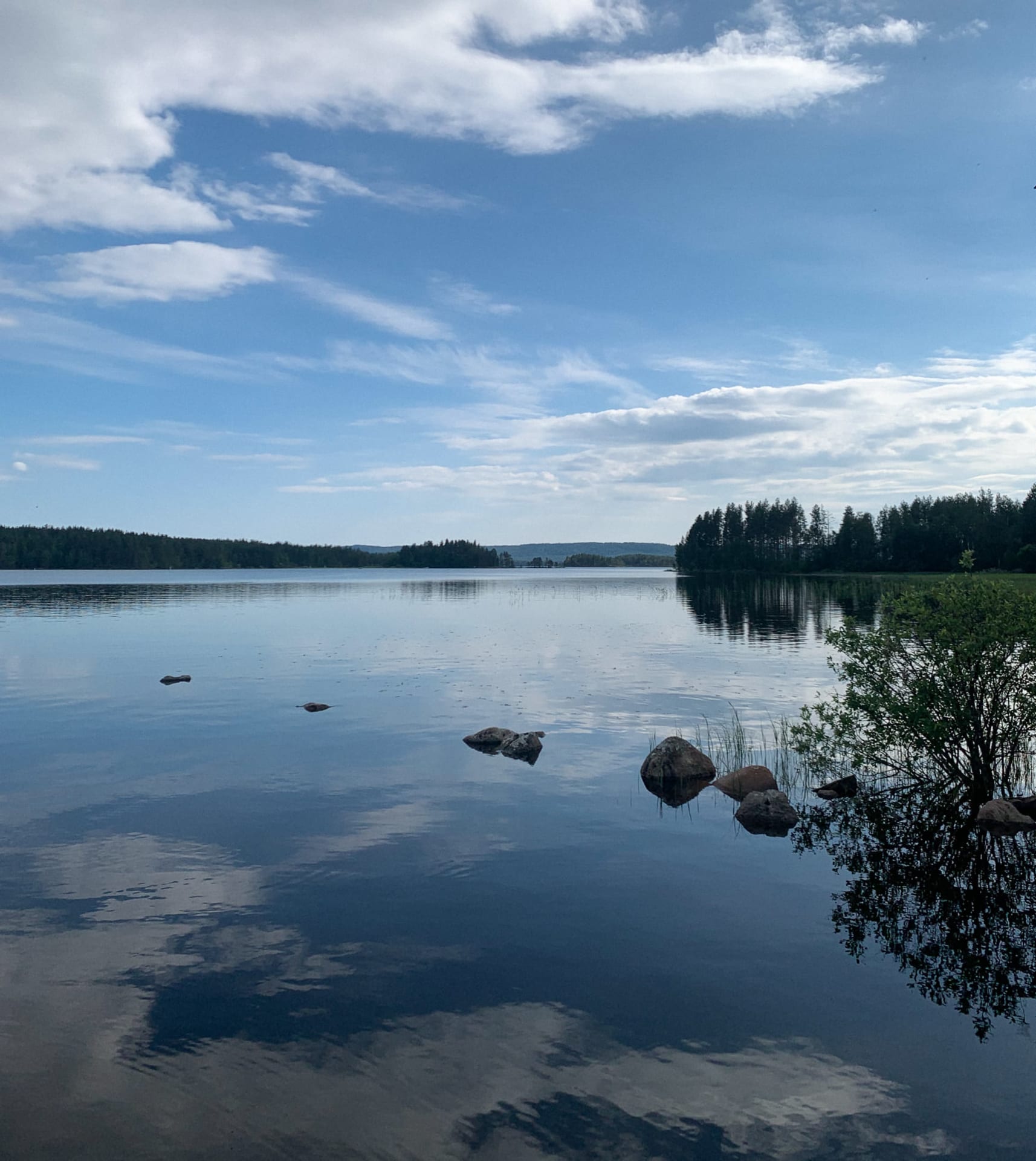Kolin kansallispuisto